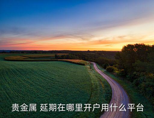  貴金屬 延期在哪里開戶用什么平臺