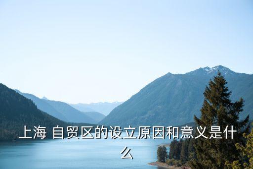 上海自貿區(qū)成就