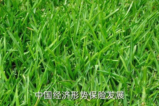 中國經(jīng)濟形勢保險發(fā)展