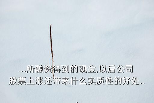 ...所融資得到的現(xiàn)金,以后公司 股票上漲還帶來什么實質(zhì)性的好處...