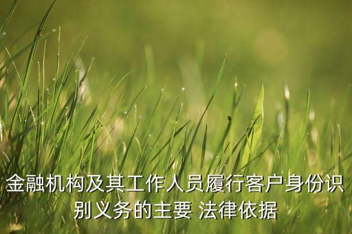 金融機(jī)構(gòu)及其工作人員履行客戶(hù)身份識(shí)別義務(wù)的主要 法律依據(jù)