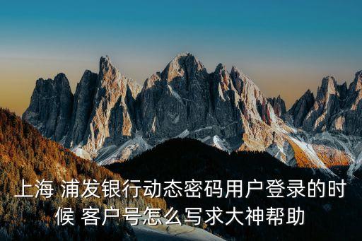上海 浦發(fā)銀行動(dòng)態(tài)密碼用戶(hù)登錄的時(shí)候 客戶(hù)號(hào)怎么寫(xiě)求大神幫助