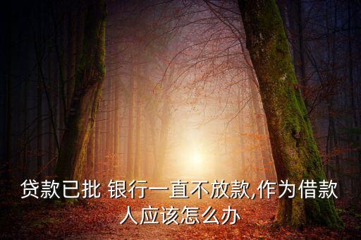 銀行恢復(fù)放貸,銀行違規(guī)放貸應(yīng)承擔什么責任