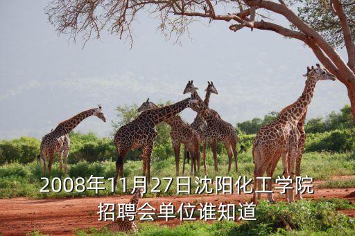 2008年11月27日沈陽化工學院招聘會單位誰知道
