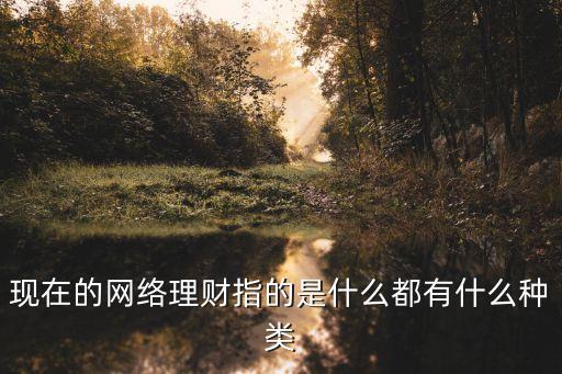 現(xiàn)在的網(wǎng)絡理財指的是什么都有什么種類