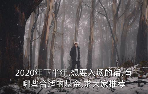 2020年下半年,想要入場(chǎng)的話,有哪些合適的基金,求大家推薦
