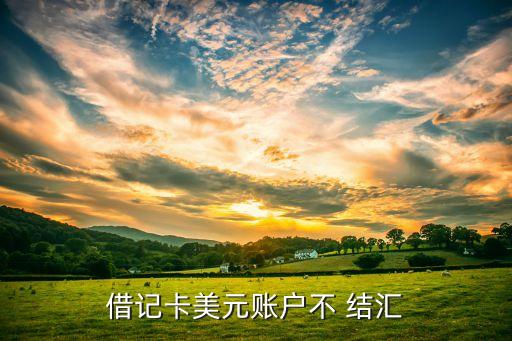 借記卡美元賬戶不 結匯