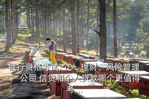 銀行資格考試,個(gè)人 理財(cái)、風(fēng)險(xiǎn)管理、 公司 信貸和個(gè)人貸款哪個(gè)更值得考...