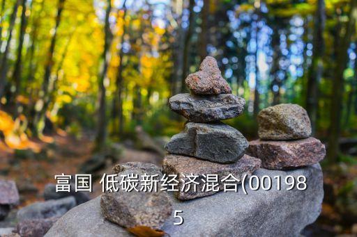 富國低碳環(huán)?；鸢?富國碳中和基金