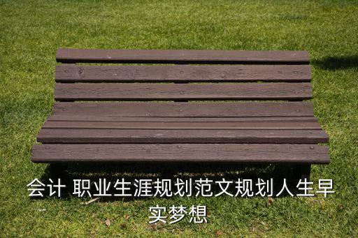  會計 職業(yè)生涯規(guī)劃范文規(guī)劃人生早實(shí)夢想