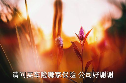 請(qǐng)問(wèn)買(mǎi)車(chē)險(xiǎn)哪家保險(xiǎn) 公司好謝謝