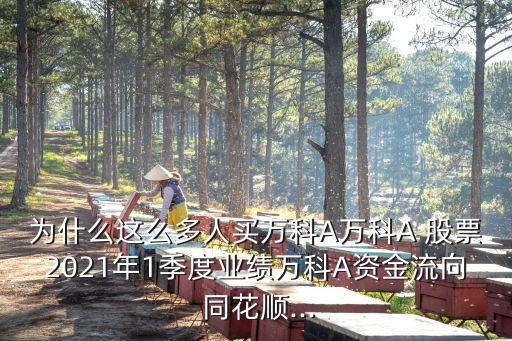 為什么這么多人買(mǎi)萬(wàn)科A萬(wàn)科A 股票2021年1季度業(yè)績(jī)?nèi)f科A資金流向 同花順...