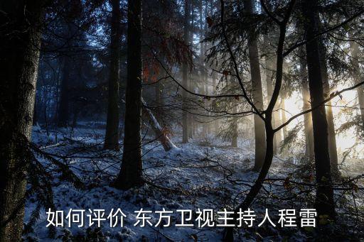 如何評(píng)價(jià) 東方衛(wèi)視主持人程雷