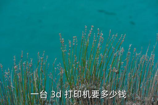一臺(tái) 3d 打印機(jī)要多少錢(qián)