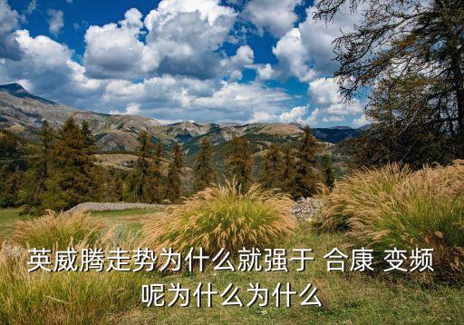 英威騰走勢(shì)為什么就強(qiáng)于 合康 變頻呢為什么為什么