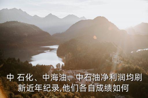 中 石化、中海油、中石油凈利潤均刷新近年紀(jì)錄,他們各自成績?nèi)绾? class=