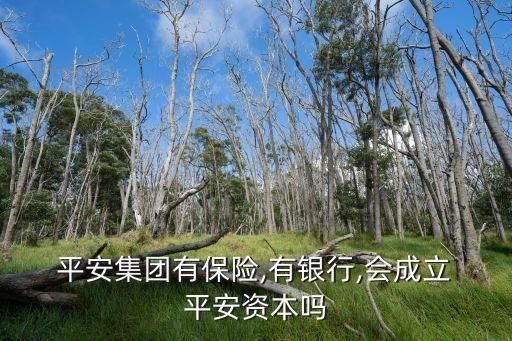  平安集團(tuán)有保險(xiǎn),有銀行,會成立 平安資本嗎