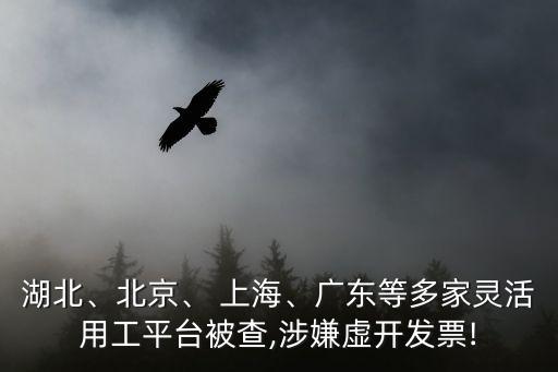 湖北、北京、 上海、廣東等多家靈活用工平臺(tái)被查,涉嫌虛開(kāi)發(fā)票!