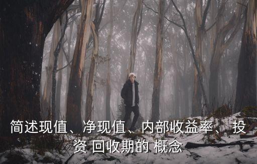 簡述現(xiàn)值、凈現(xiàn)值、內(nèi)部收益率、 投資 回收期的 概念
