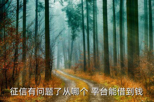 征信有問題了從哪個(gè) 平臺能借到錢