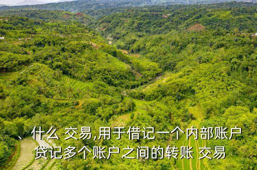 、什么 交易,用于借記一個(gè)內(nèi)部賬戶 貸記多個(gè)賬戶之間的轉(zhuǎn)賬 交易