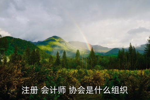注冊 會計(jì)師 協(xié)會是什么組織