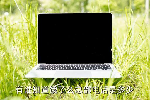 有誰(shuí)知道餓了么總部電話(huà)是多少