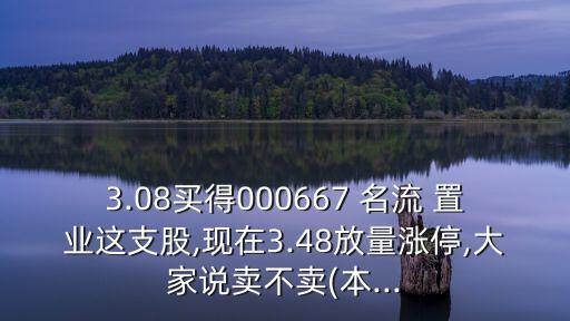 3.08買得000667 名流 置業(yè)這支股,現(xiàn)在3.48放量漲停,大家說(shuō)賣不賣(本...