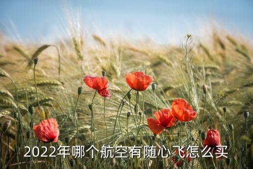2022年哪個(gè)航空有隨心飛怎么買(mǎi)