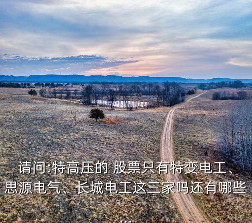請問:特高壓的 股票只有特變電工、思源電氣、長城電工這三家嗎還有哪些...