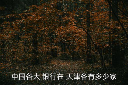 中國(guó)各大 銀行在 天津各有多少家