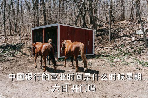 中國(guó)銀行周日幾點(diǎn)開(kāi)門(mén),附近中國(guó)銀行營(yíng)業(yè)廳周日開(kāi)門(mén)嗎
