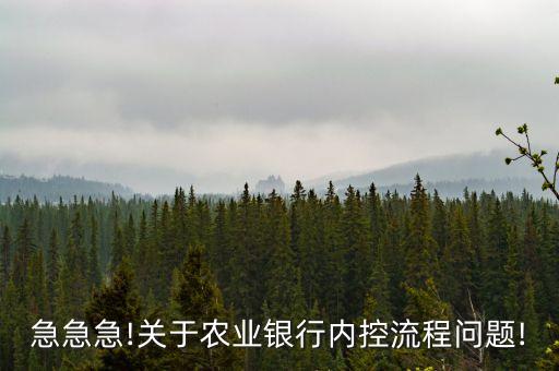 中國農(nóng)業(yè)銀行員工獎(jiǎng)懲制度