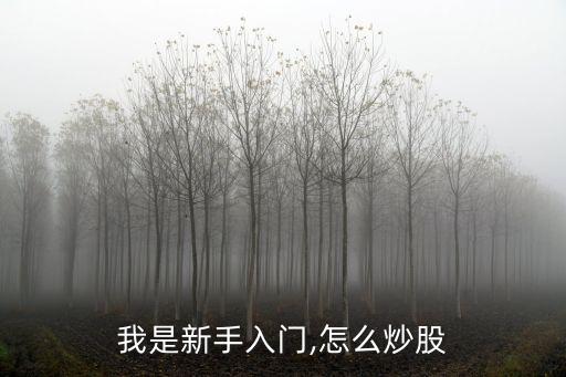 我是新手入門(mén),怎么炒股