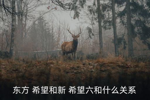 東方 希望和新 希望六和什么關系