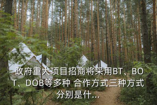  政府重大項(xiàng)目招商將采用BT、BOT、DOB等多種 合作方式三種方式分別是什...