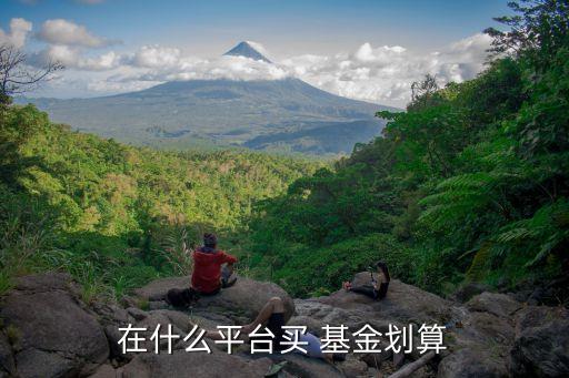 哪個(gè)網(wǎng)站買(mǎi)基金便宜,哪個(gè)平臺(tái)買(mǎi)基金手續(xù)費(fèi)最便宜