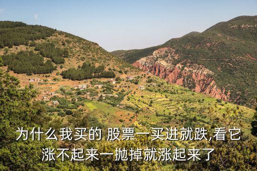 為什么我買(mǎi)的 股票一買(mǎi)進(jìn)就跌,看它漲不起來(lái)一拋掉就漲起來(lái)了