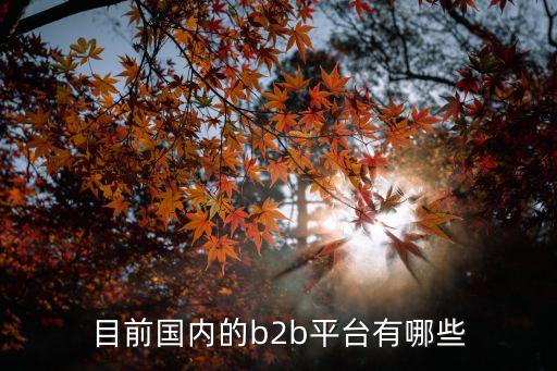 目前國(guó)內(nèi)的b2b平臺(tái)有哪些