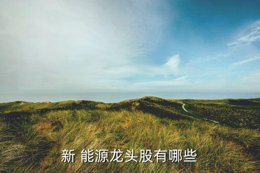 股票新能源汽車(chē)概念股,新能源發(fā)電概念股有哪些股票