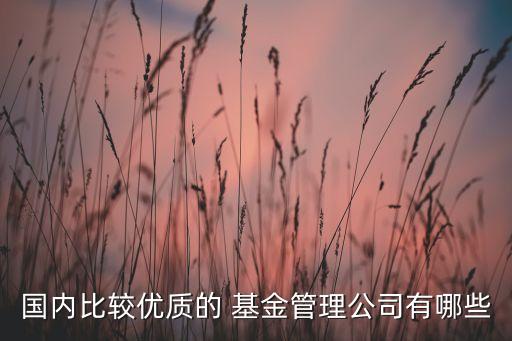 國內比較優(yōu)質的 基金管理公司有哪些