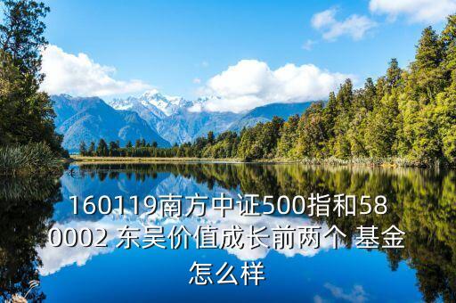 160119南方中證500指和580002 東吳價值成長前兩個 基金怎么樣