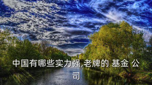 中國有哪些實力強(qiáng),老牌的 基金 公司