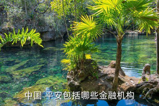 中國 平安包括哪些金融機構(gòu)