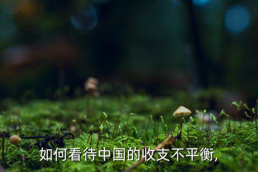 如何看待中國的收支不平衡,