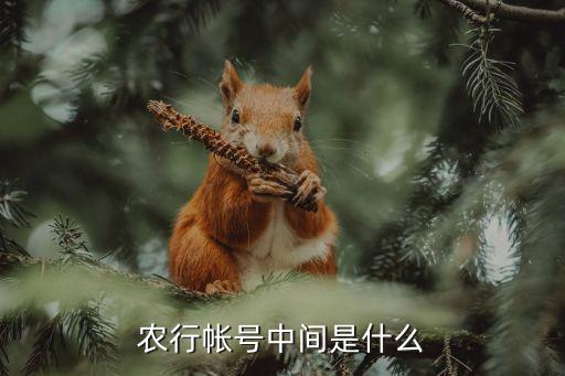 農業(yè)銀行戶名中間有空格