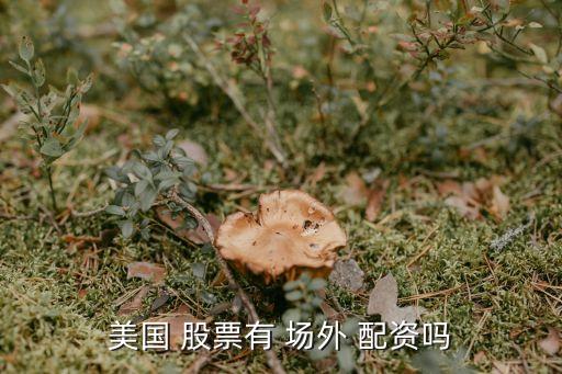 美國 股票有 場(chǎng)外 配資嗎