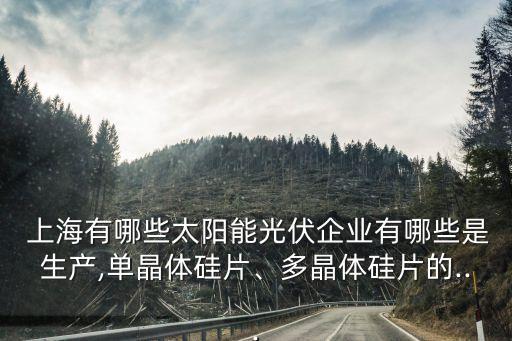  上海有哪些太陽能光伏企業(yè)有哪些是生產(chǎn),單晶體硅片、多晶體硅片的...
