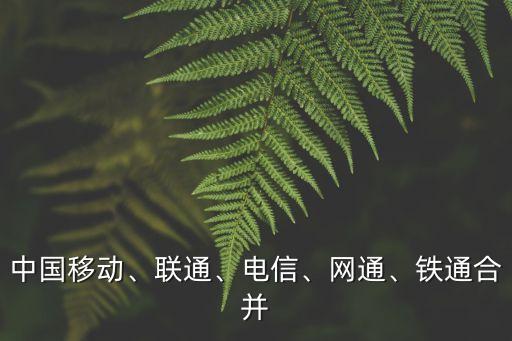 中國(guó)移動(dòng)、聯(lián)通、電信、網(wǎng)通、鐵通合并