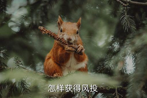 怎樣獲得風投